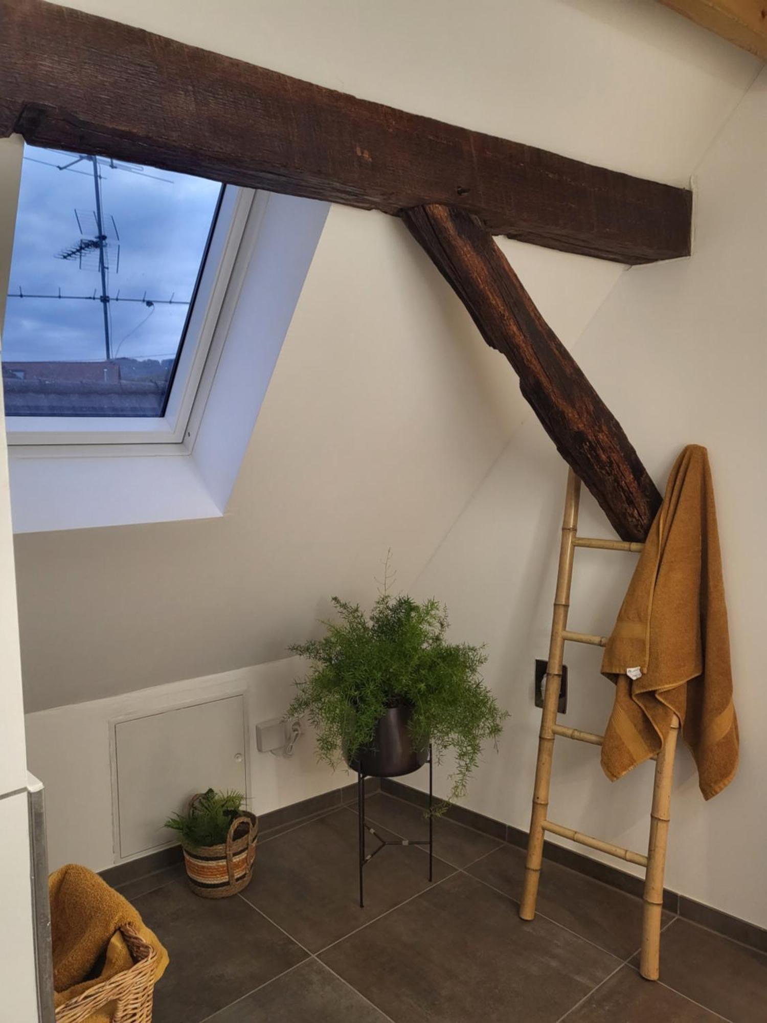 Ferienwohnung Im Rebstock Nr.1 Bahlingen  Extérieur photo
